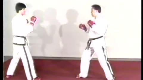 Taekwondo