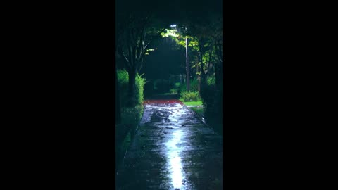 Amber Night – warm light beneath the sound.