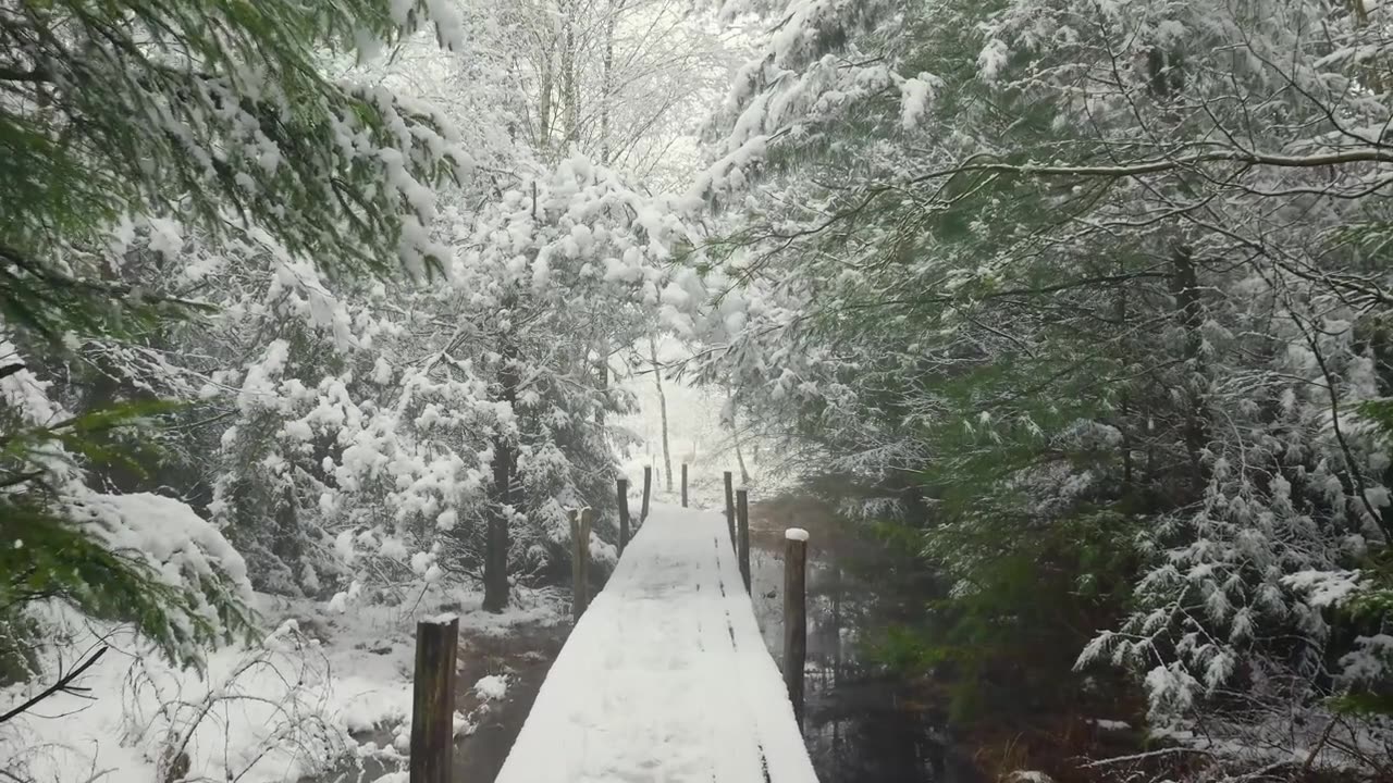 4K 雪景: A Meditative Escape to Tranquil Nature | Mindful Haven