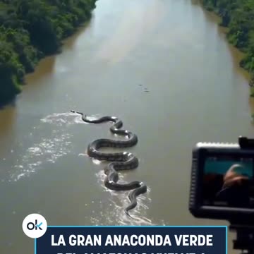 The Biggest Anaconda in The world