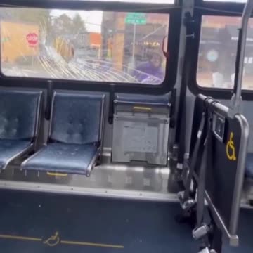 Scholar or astrophysicist_