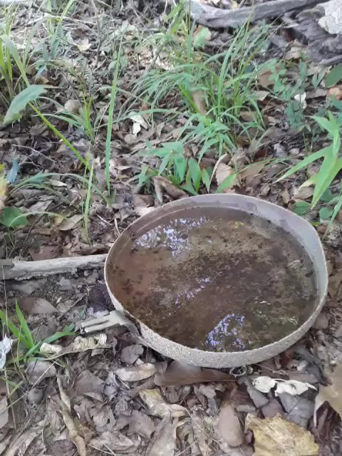 Redneck hand washing station