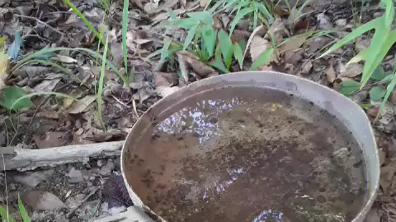 Redneck hand washing station