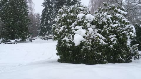 blizzard of 2015