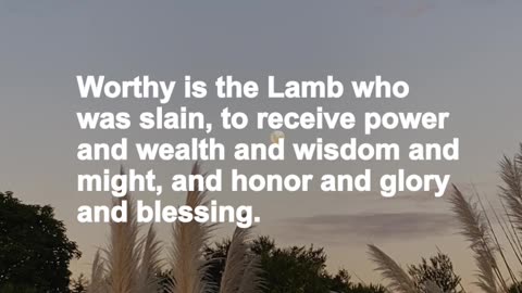 May the precious Lamb of God receive the reward of his sacrifice.