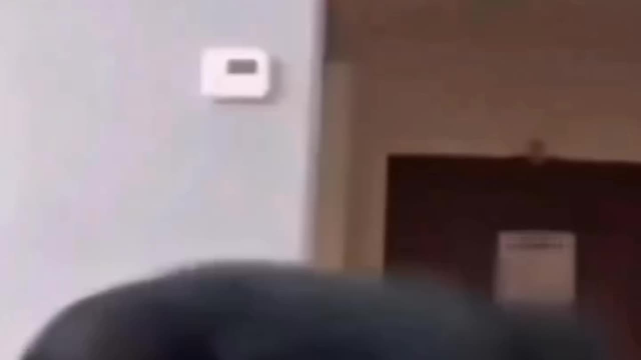 Comedy funny video 🤣🤣