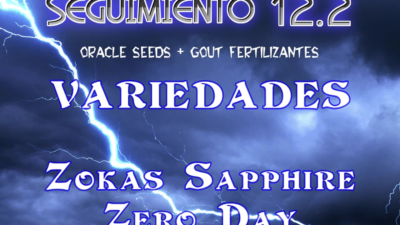 Seguimiento 12.2 (Capitulo 5º)