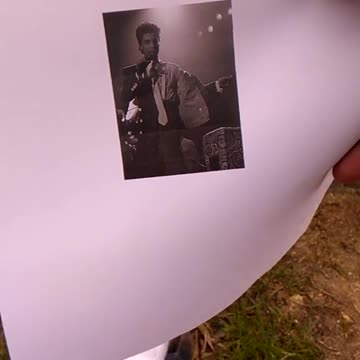 Tim Rifat TikTok Videos