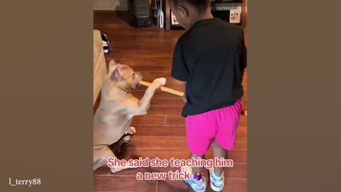 When your dog claim your baby as its special friend
