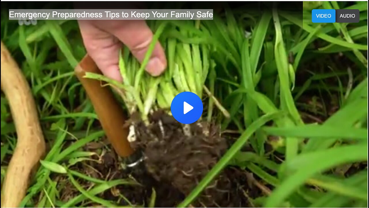 Emergency Preparedness Tips to Keep Your Family Safe