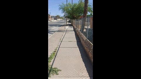 Daily Walk Part 2