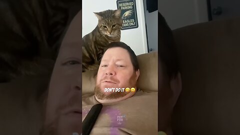 The Animals #funnyanimals #animals #pets #shorts