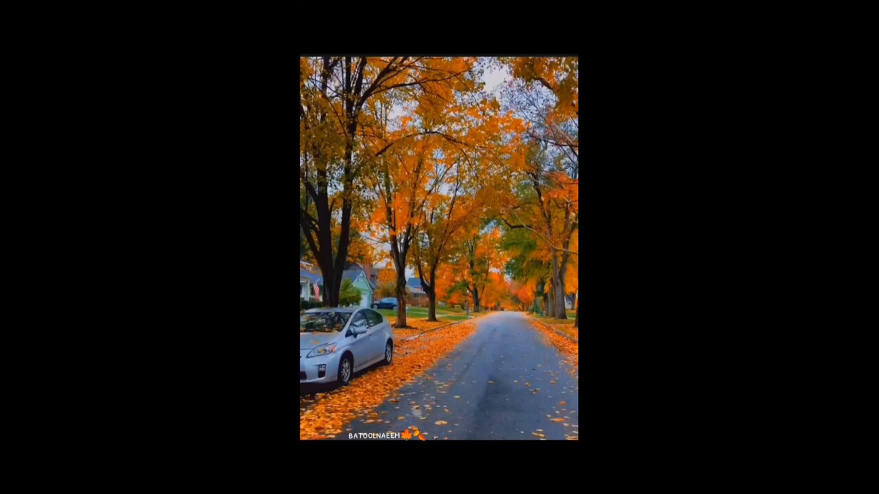 #foryoupage#viralvideo