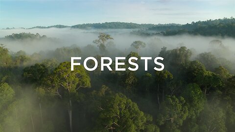 Prehistoric Planet.S01E05.Forests (2022, 1080p HD, Natural History Documentary)