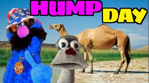 Hump Day | Spooky Humps