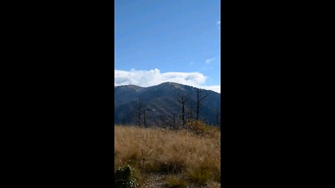 Daily Verse December 9th 2025