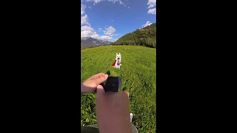 Krypto to the rescue