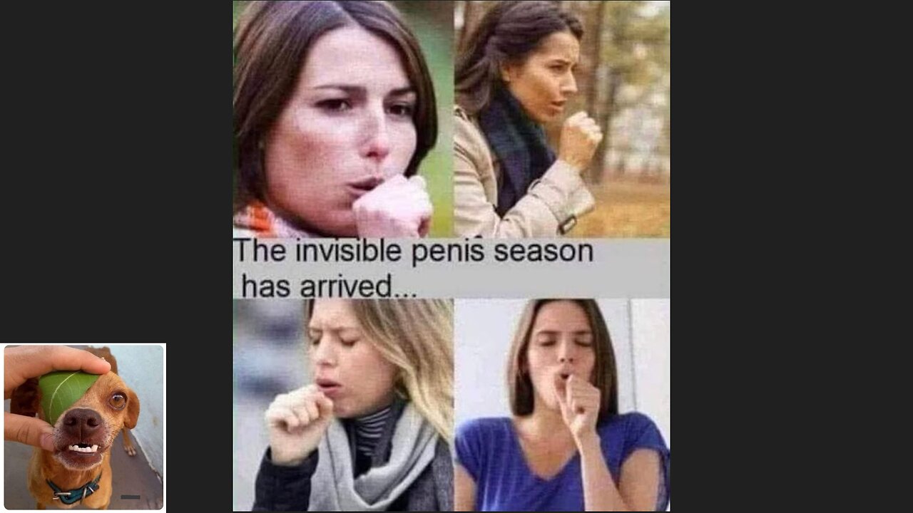 Meme compilation Episodes 591-595.