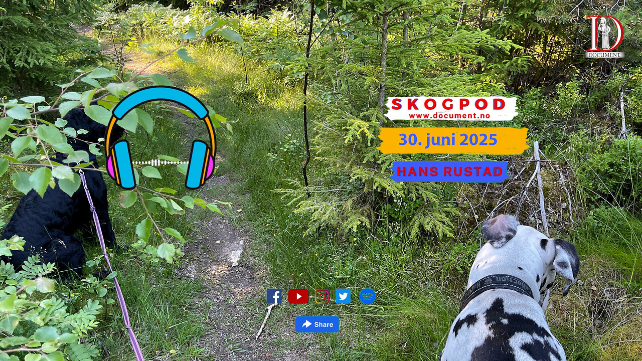 Skogpod 30. juni 2025