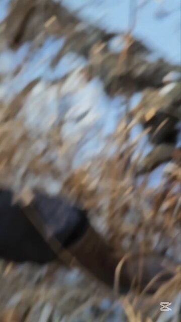 Breaking The Ice 🧊 To Take A Bath 🛁 🥶 어름 깨서 들어간다! #jirisan #지리산 #korea