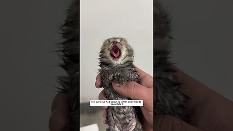 The kitten had an attack and the man saved him