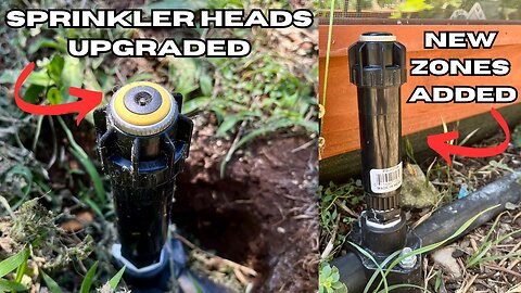 Irrigation Upgrades That Actually Matter
