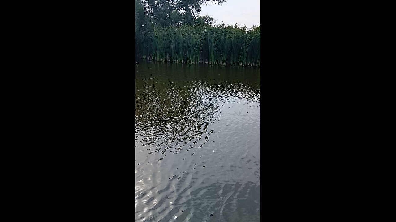 Gump and I fish a farm pond in Nebraska. Part 3