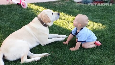 Why Animals Are Every Child’s Perfect Best Friend 🐶👶