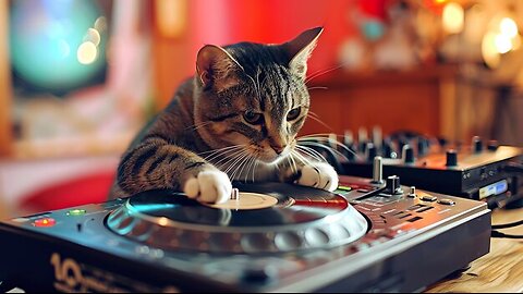 #HappyMonday 9th February 2026 🫡 #house #music #FreedomOfExpression