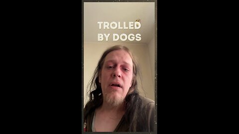 Jason Gets Trolled By Dogs 🐶