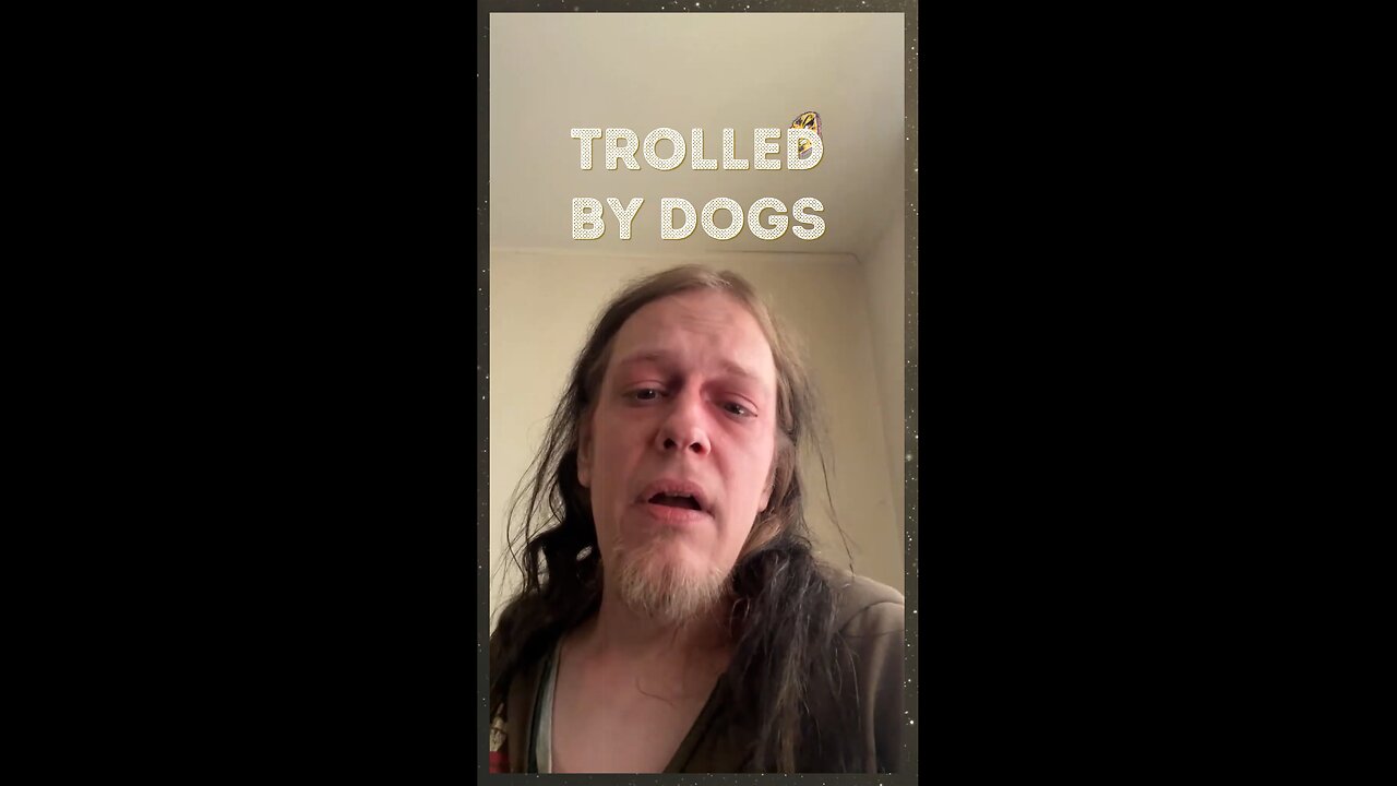 Jason Gets Trolled By Dogs 🐶