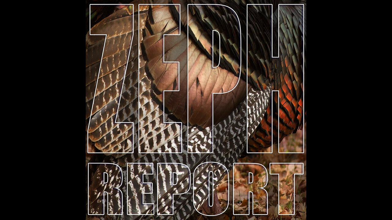 Thanksgiving Day - Undecided