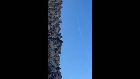 ballistic missile launched by Iran