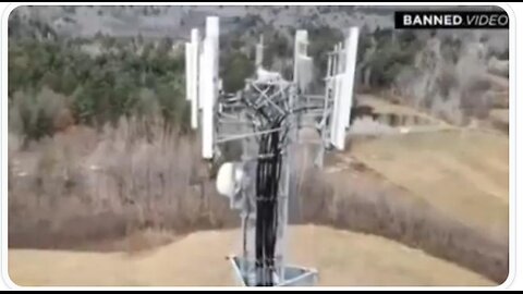 📡5G AND 💉C-19❓ - Greg Reese