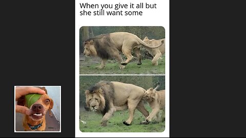 Meme compilation Episodes 396-400.