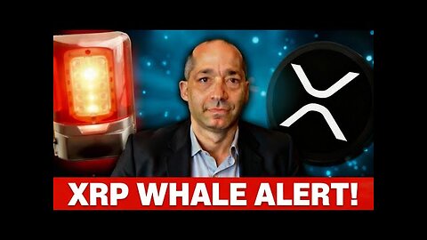 XRP WHALES MOVE $300M OFF EXCHANGES THE SUPPLY SHOCK IS COMING