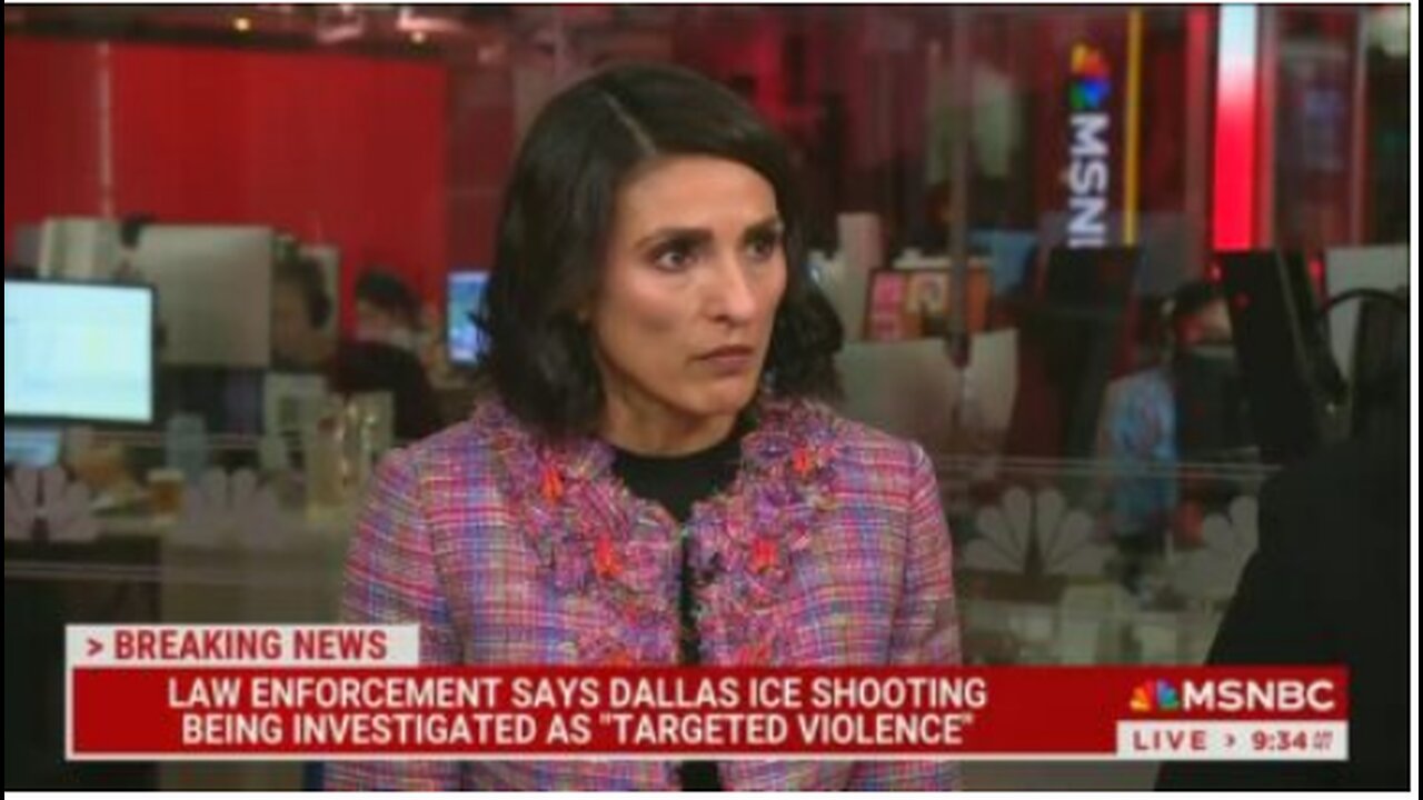 MSNBC Analyst Says Feds Wearing Masks Led to Escalated Rhetoric Ahead of Deadly ICE Shooting