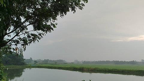 Morning Nature 🇧🇩