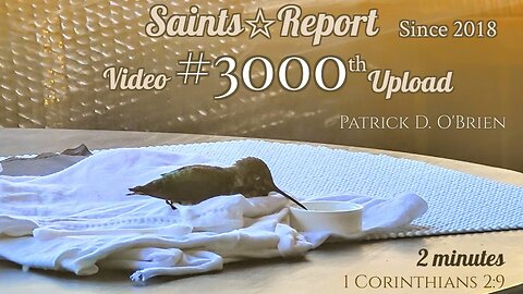 #3000th Upload | A tribute to the value of life.
