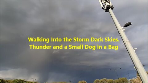 Walking Into the Storm Dark Skies. Thunder and a Small Dog in a Bag