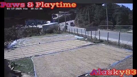 TRUCK HAS A TRAGIC ACCIDENT ON A HIGHWAY