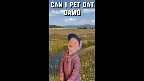 Can I Pet Day Dawg