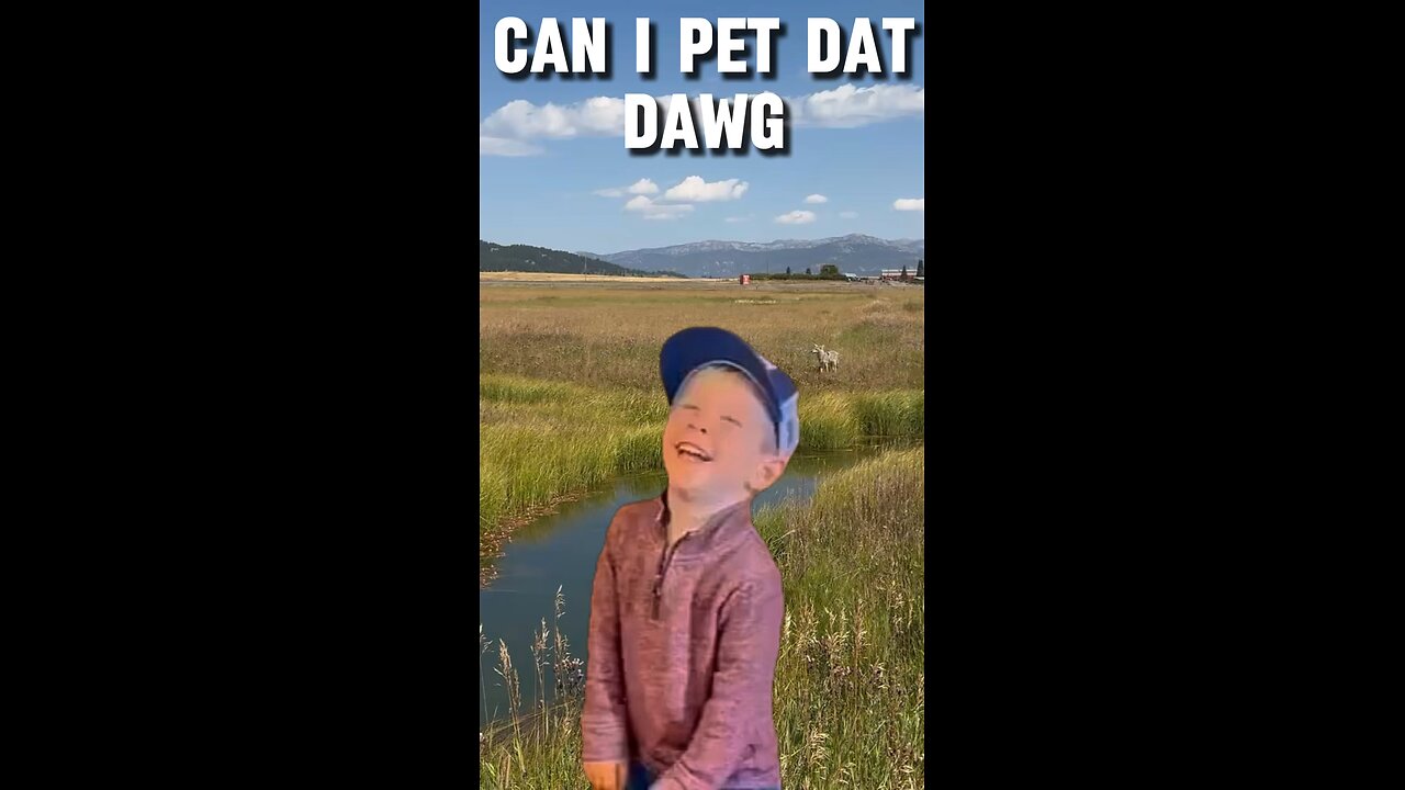 Can I Pet Day Dawg