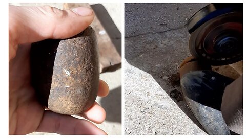 Fossilized egg of an unknown creature was found and opened