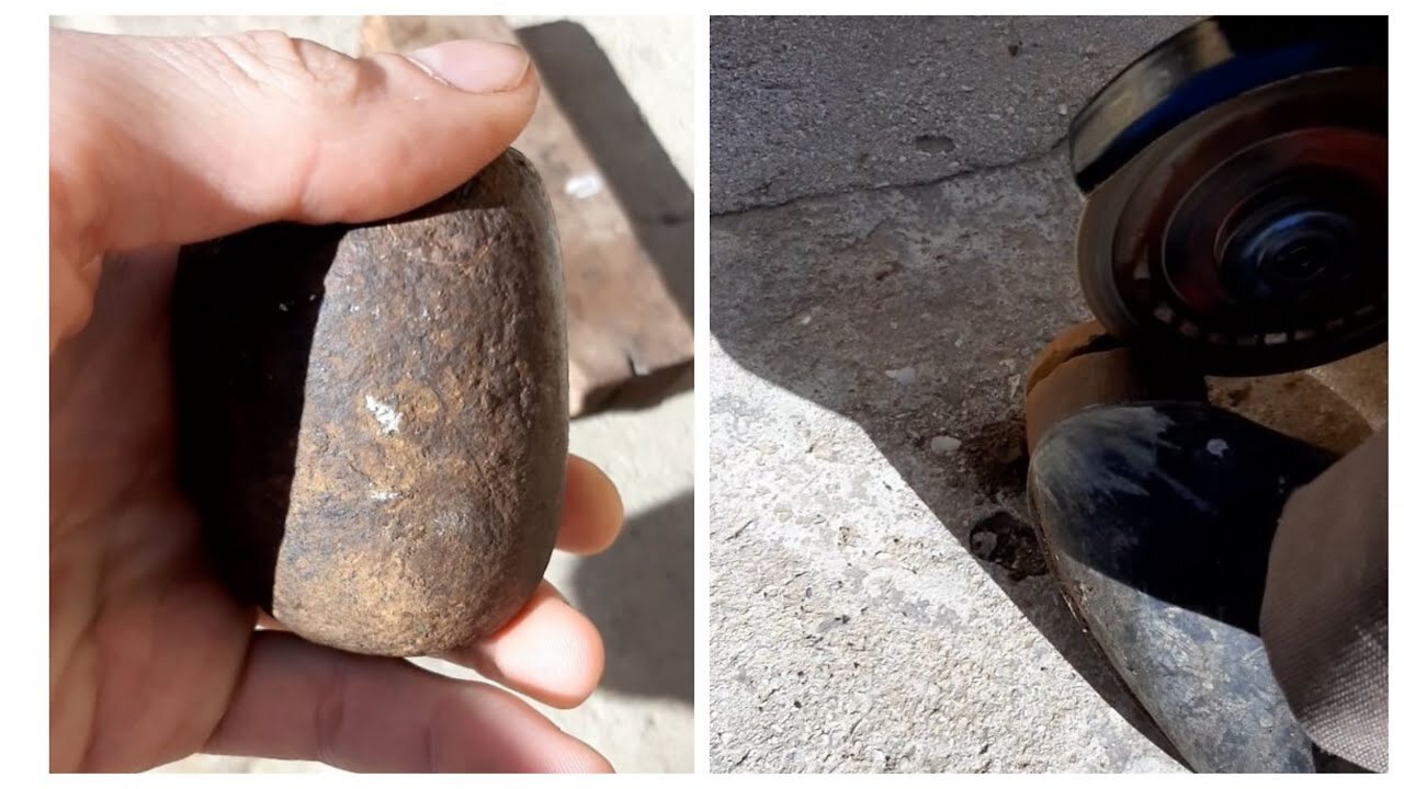 Fossilized egg of an unknown creature was found and opened