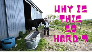 SPRING Fever On The FARM And Things ARE Getting CRAZY!