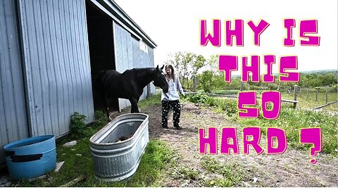 SPRING Fever On The FARM And Things ARE Getting CRAZY!