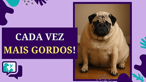 Obesidade Canina: Um Problema em Crescimento