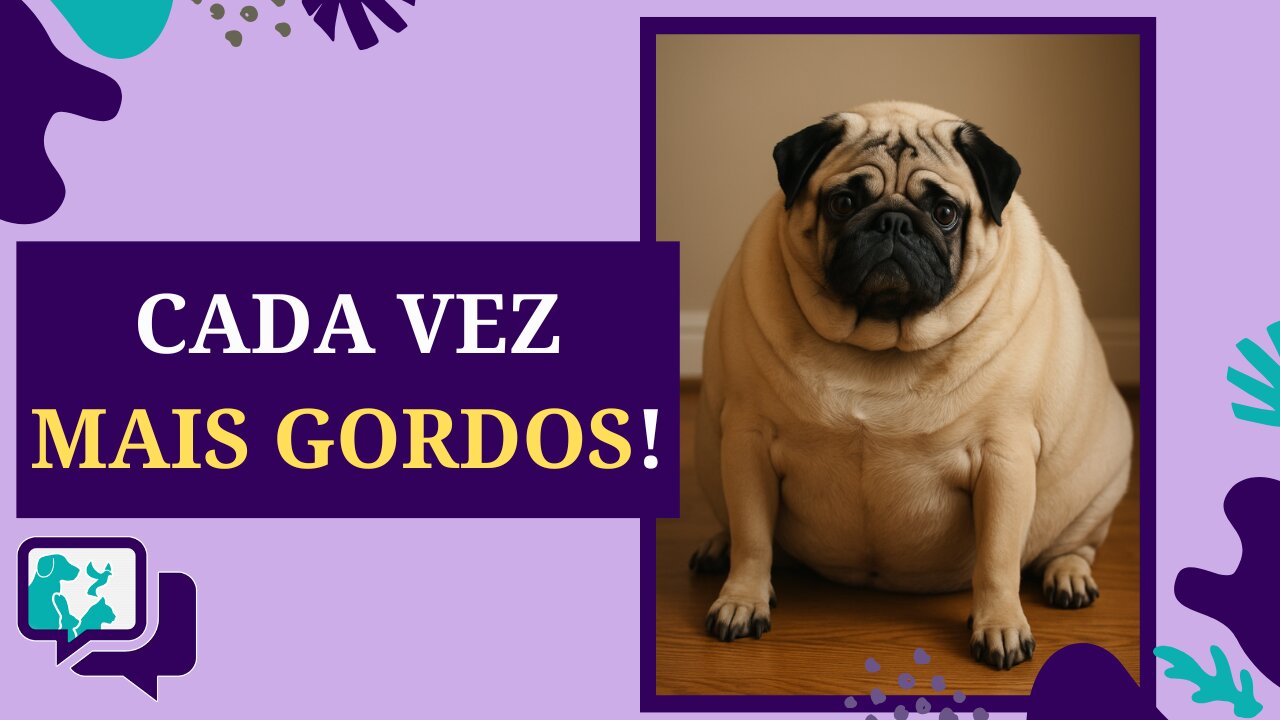 Obesidade Canina: Um Problema em Crescimento