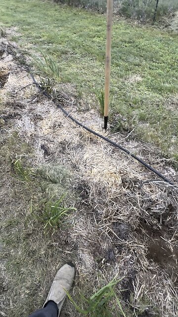 No till seven years living soil